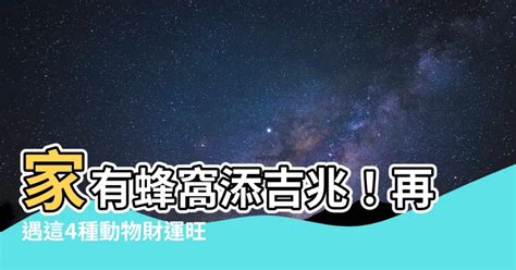 家裡有蜂窩代表|【家裡有蜂窩代表什麼】家裡有蜂窩代表什麼，原來有這樣的意思。